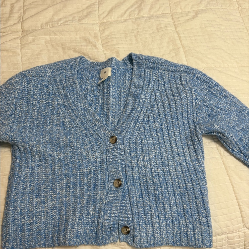 H&M Blue Button-Up Cardigan